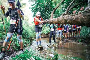 BIB: 
                            <button type="button" onclick="openModal(25514539)" class="btn btn-primary btn-sm float-right btn-popup" data-toggle="modal" data-target=".modal-high-quality">
                        <i class="fas fa-shopping-cart"></i> Add to Cart
                    </button>
                                            <button type="button" onclick="isThisMe(25514539, true)" class="btn btn-success btn-sm float-right btn-popup btn-isme hidden" data-toggle="tooltip" data-placement="bottom" title="นี่คือรูปของคุณใช่ไหม คลิกที่นี่เพื่อเอาเข้าอัลบั้ม">
                        <i class="fas fa-plus"></i> Add to album
                    </button>
                    <button type="button" onclick="isThisMe(25514539, false)" class="btn btn-warning btn-sm float-right btn-popup btn-isnotme hidden">
                        <i class="fas fa-ban"></i> Remove from album
                    </button>